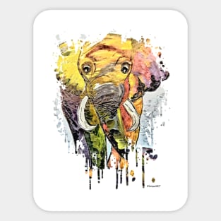 Elephant in the Shadows Sticker